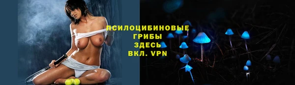 гашик Абаза